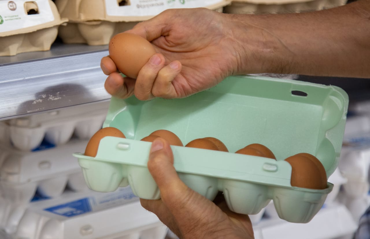 За год в Тульской области производство яиц увеличилось на 5,3%