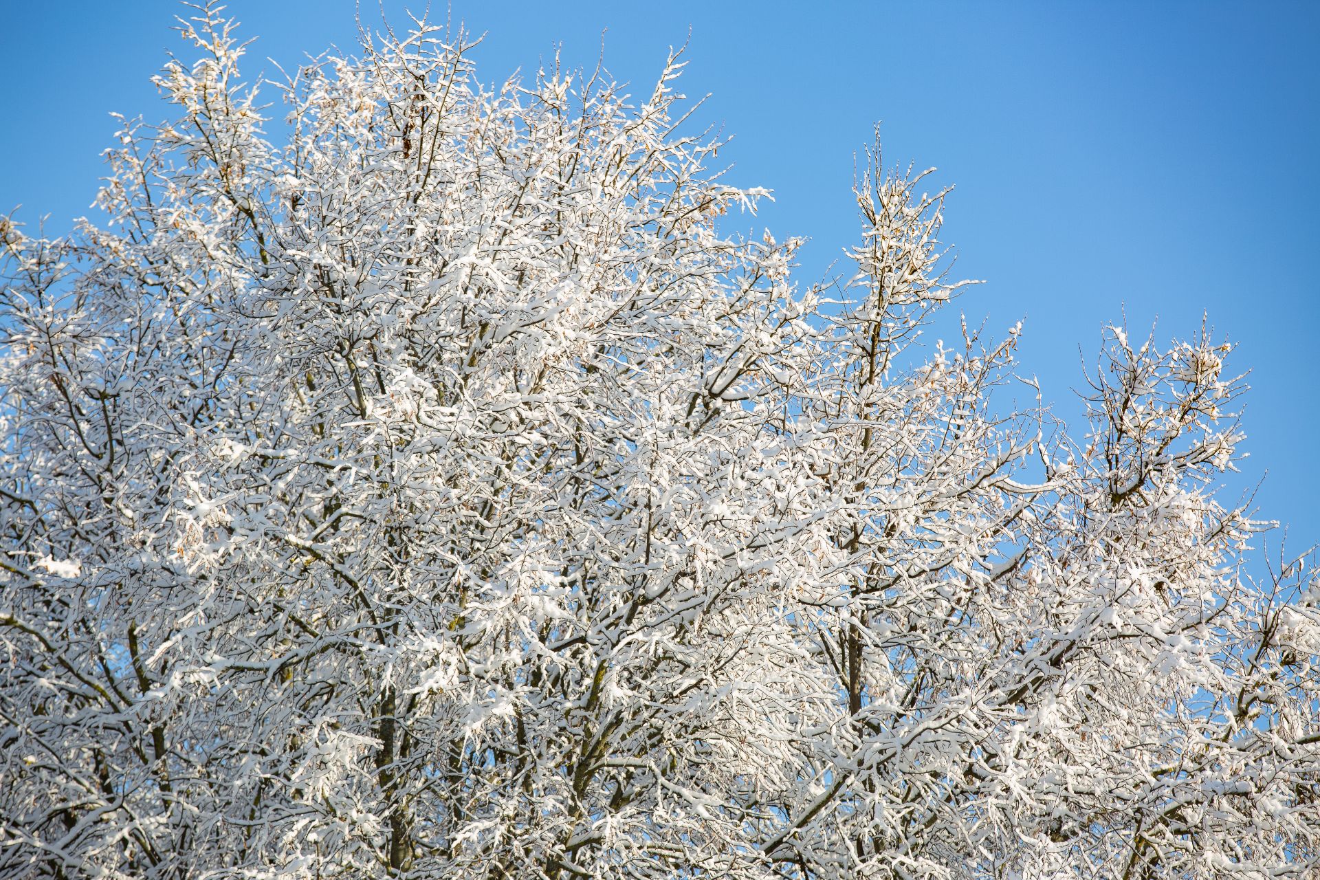 Россия может потерять часть территорий