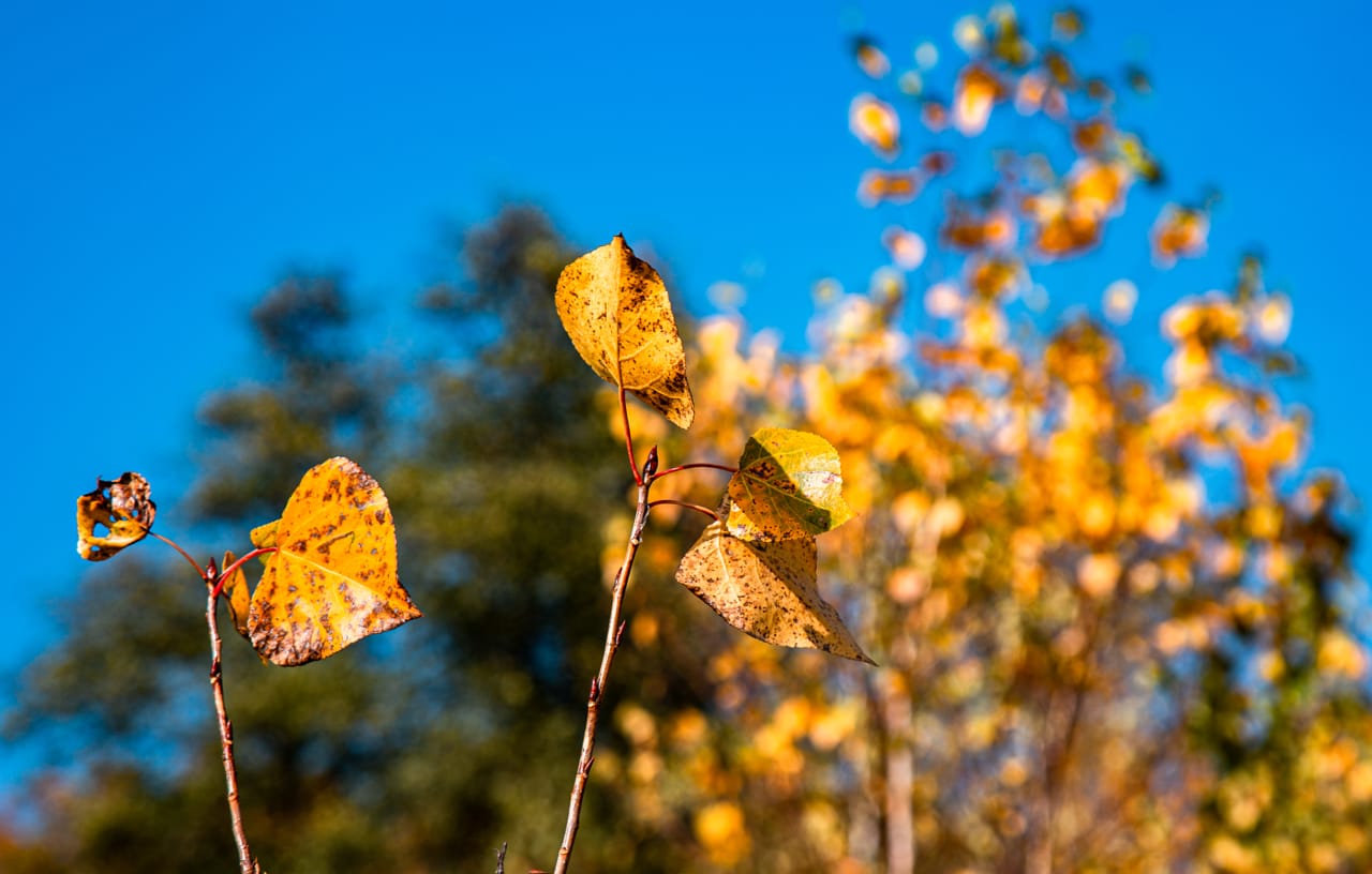 20 ноября в Туле ожидается ясная погода
