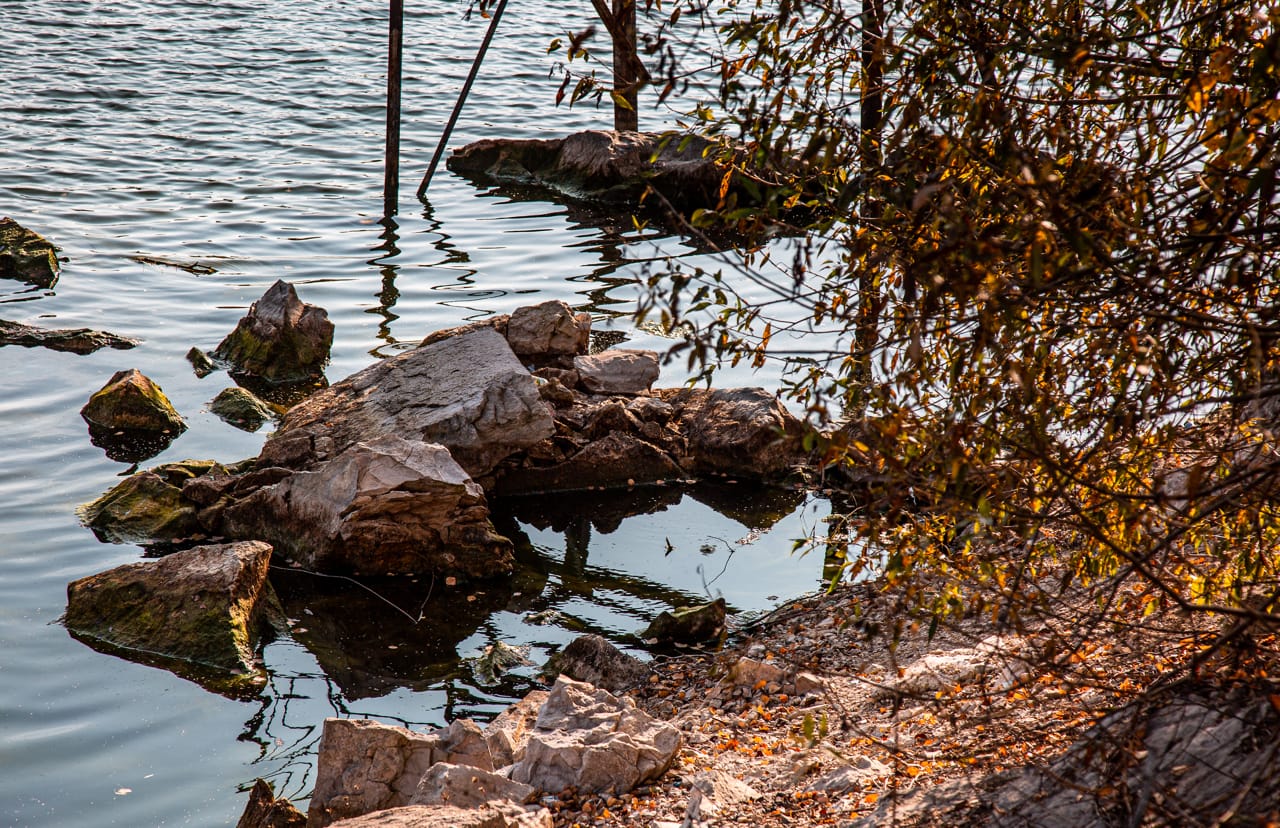 Ночью в Туле похолодает до -2 градусов