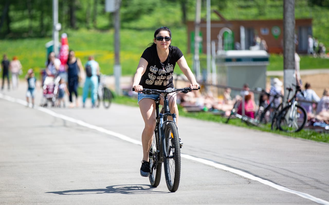 Туляки смогут доехать от Кремля до Ясной Поляны на велосипеде