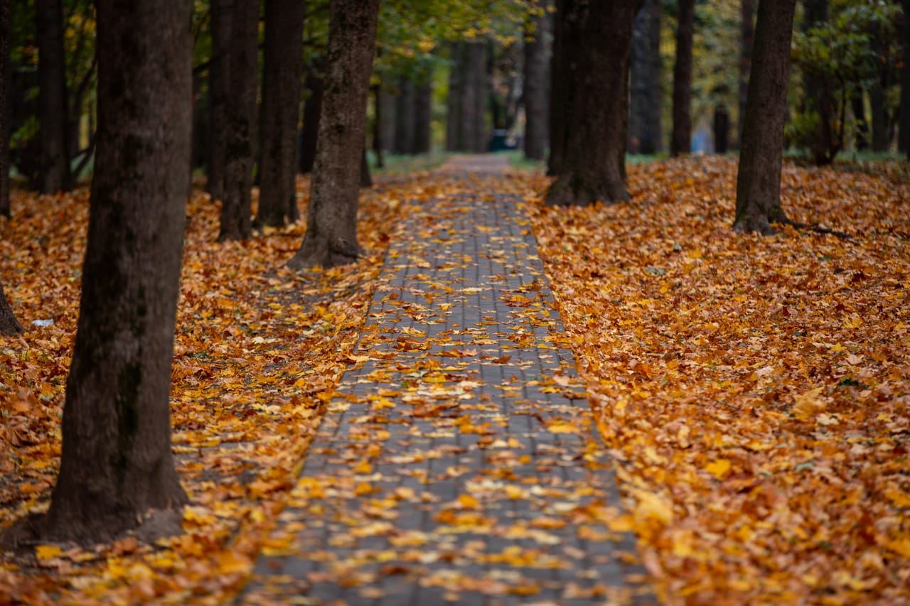 Ночью в Туле ожидается переменная облачность