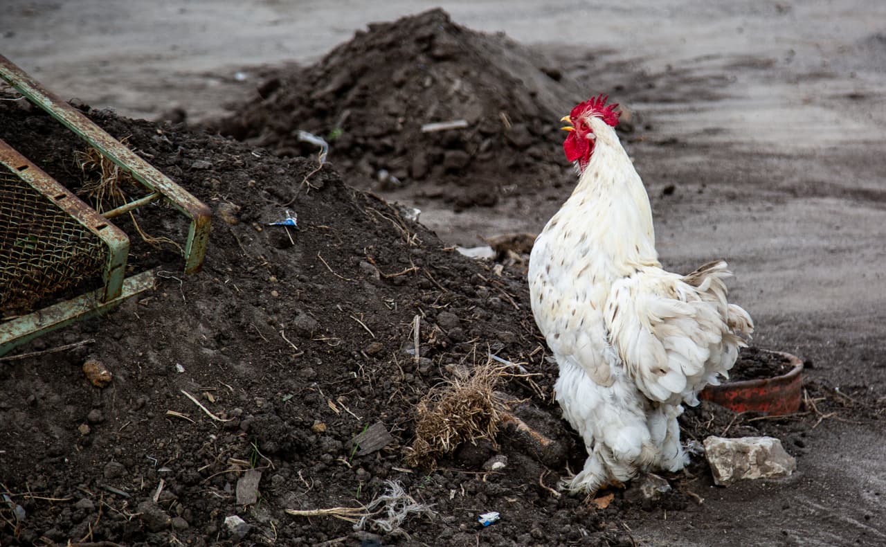 Более 90 предприятий Москвы, Подмосковья и Тульской области получили доступ к экспорту