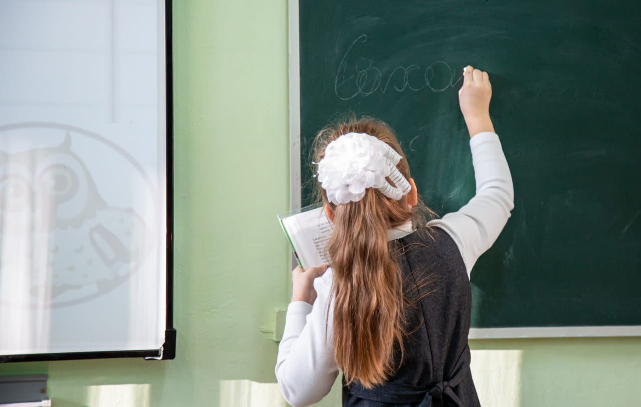 Тульские школьники и родители активно используют "Дневник71" для контроля успеваемости