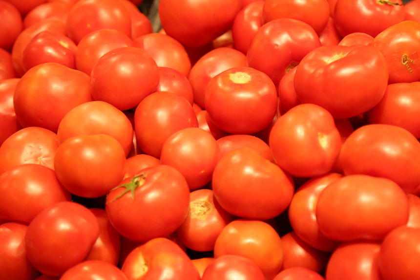 В Тульскую область завезли карантинные семена сои и помидоры