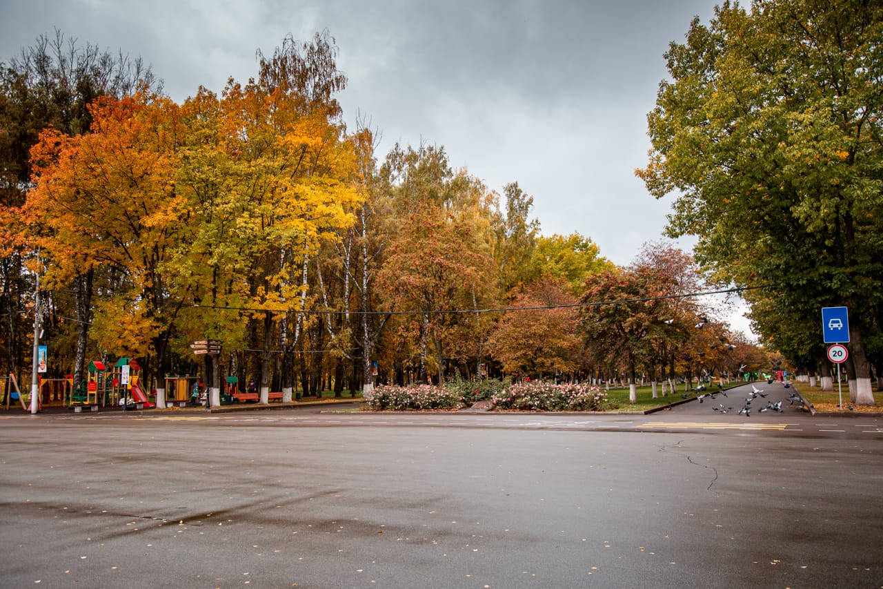 Тульская область за год стала зеленее