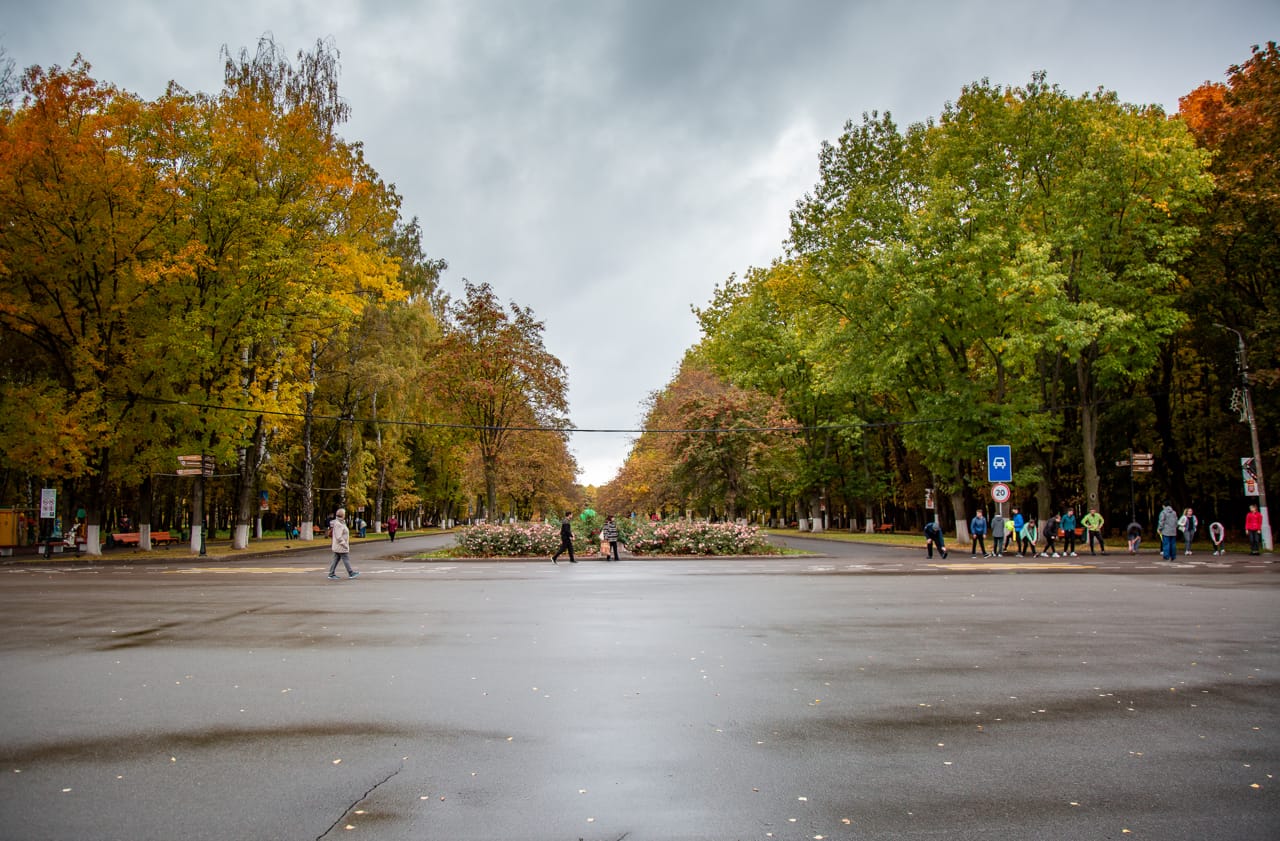 11 ноября в Туле будет до 7 градусов тепла