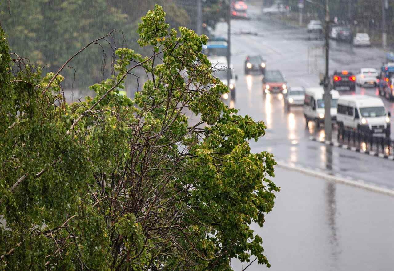 25 ноября в Туле будет облачно