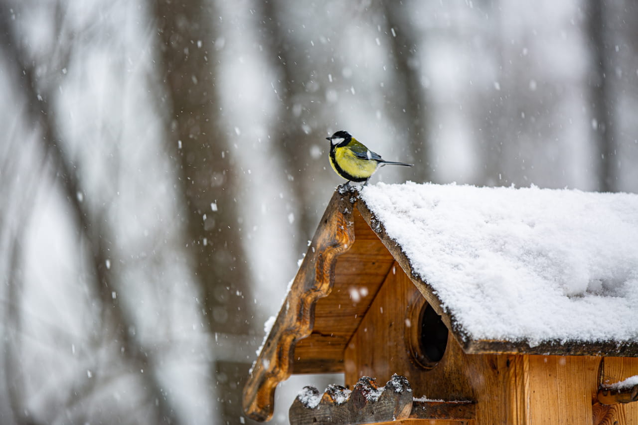 Тула готовится к "тепловому взрыву" в декабре
