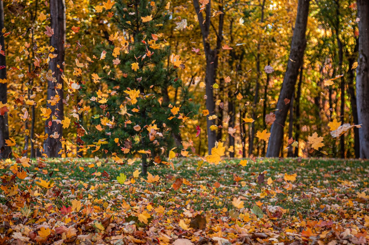 Ночью в Туле ожидаются геомагнитные возмущения