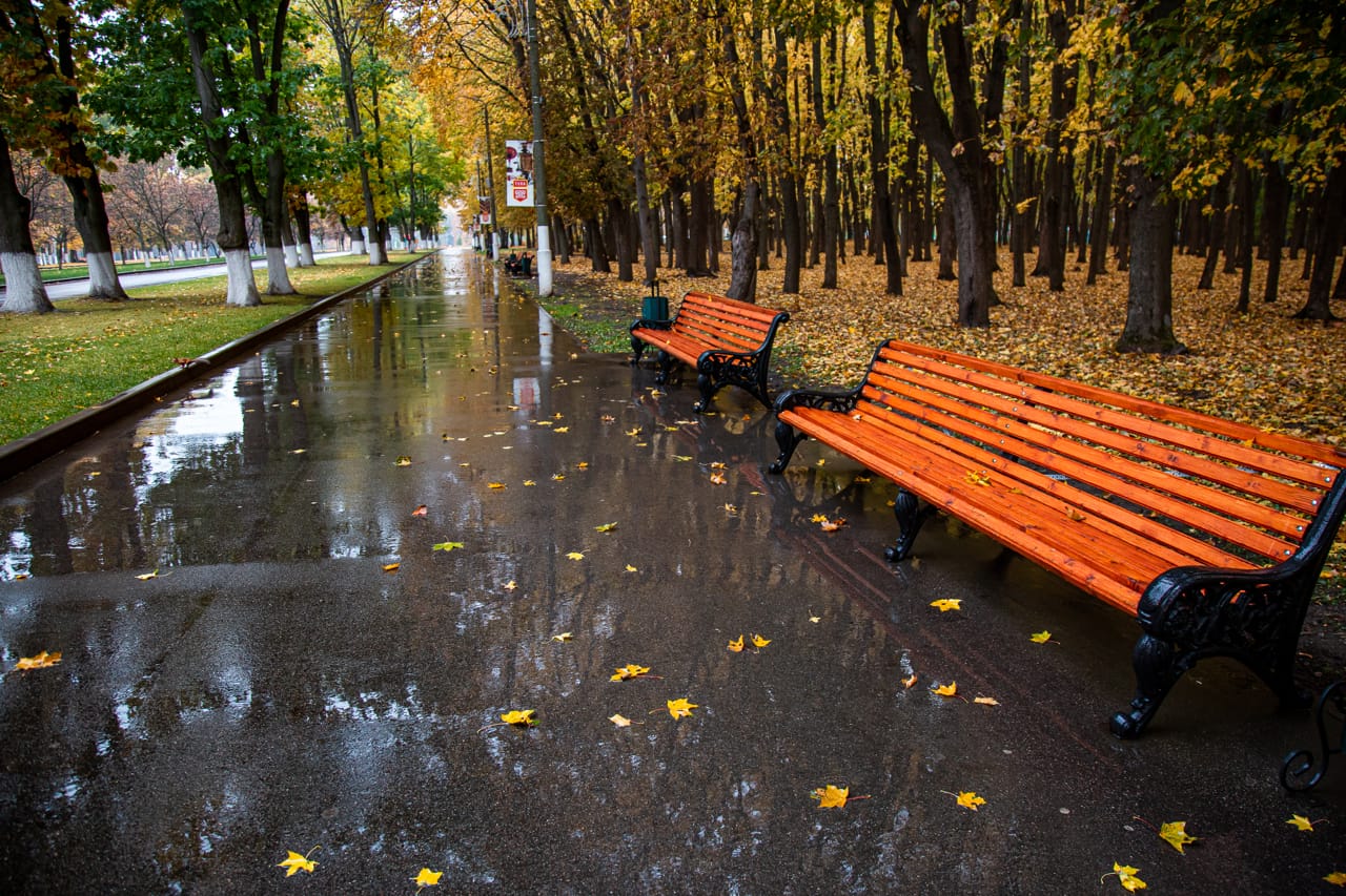В ночь на 24 сентября в Туле ожидается сильный дождь
