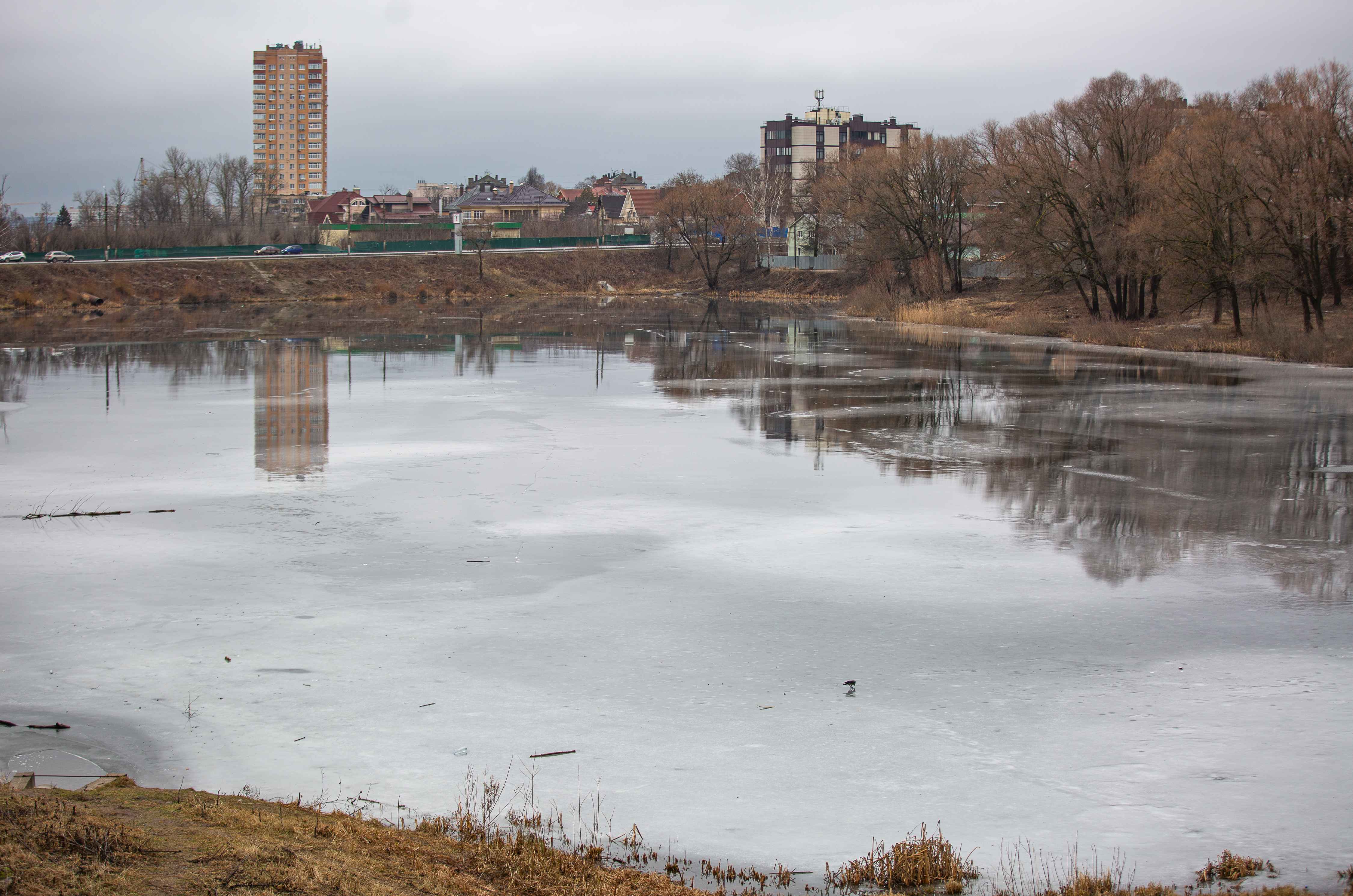 Ночью в Туле ожидается снег