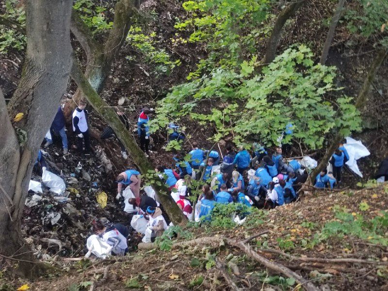 Волонтеры собрали более 300 мешков мусора из оврага Заокского района