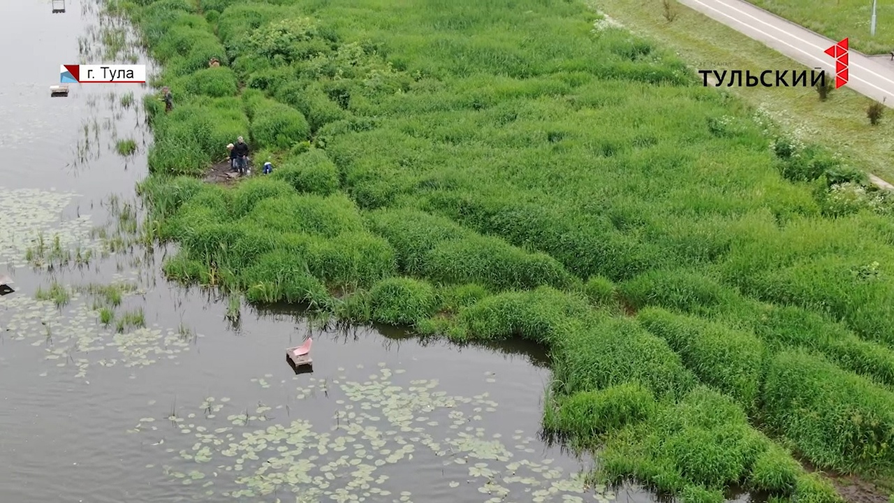 Каким рекам в Тульской области планируют дать вторую жизнь