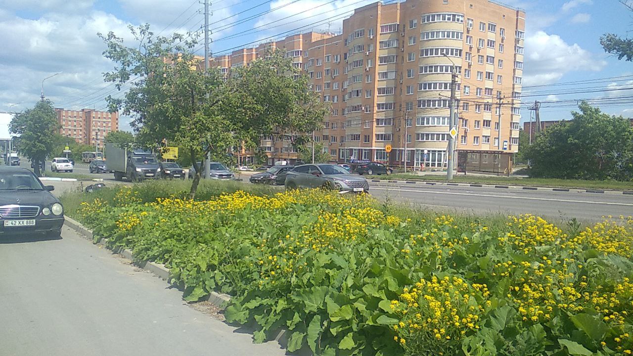 Машина скорой помощи попала в ДТП на Зеленстрое в Туле | 05.06.2023 | Тула  - БезФормата