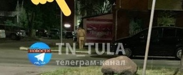 По улице Николая Руднева в Туле ходит голый мужчина