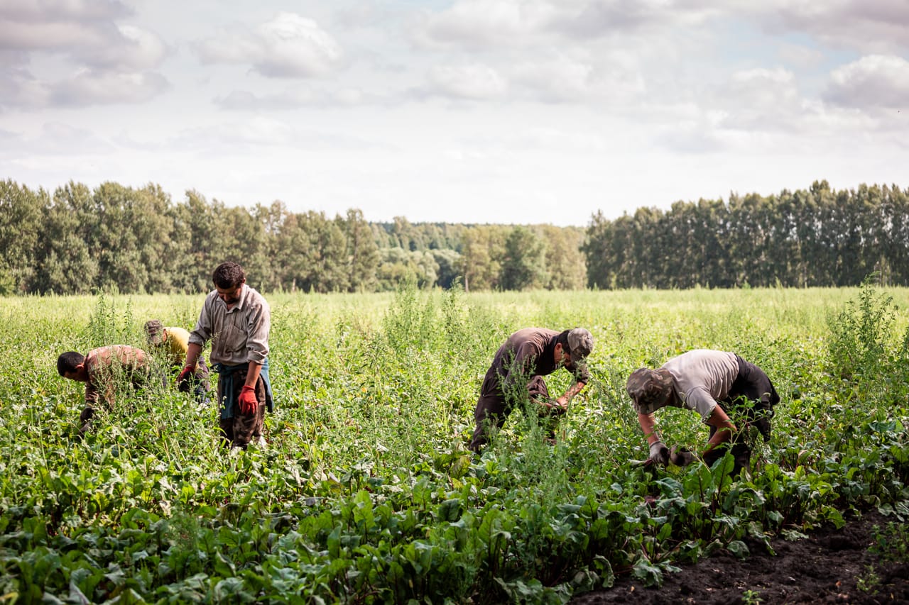 В Госдуме не поддержали идею Сбербанка о массовом завозе мигрантов из Индии