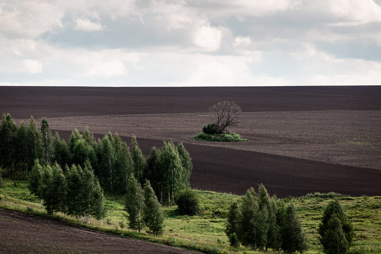 За заросшие сорняком 187 гектаров туляк заплатит штраф