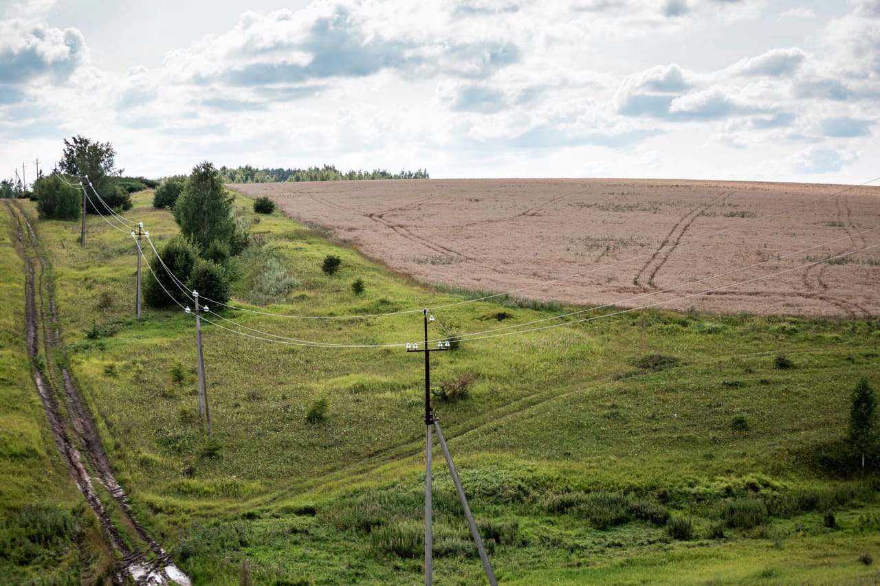 В Тульской области 2,7 гектара сельхозземли превратят в лес
