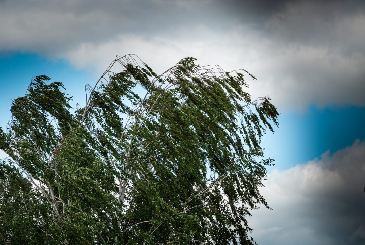 Гроза и сильный ветер: в Тульской области объявлено метеопредупреждение