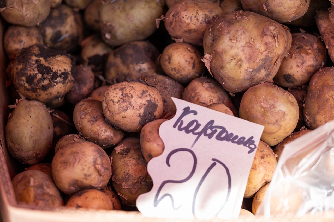 В 2022 году в огородах туляков будет больше картофеля