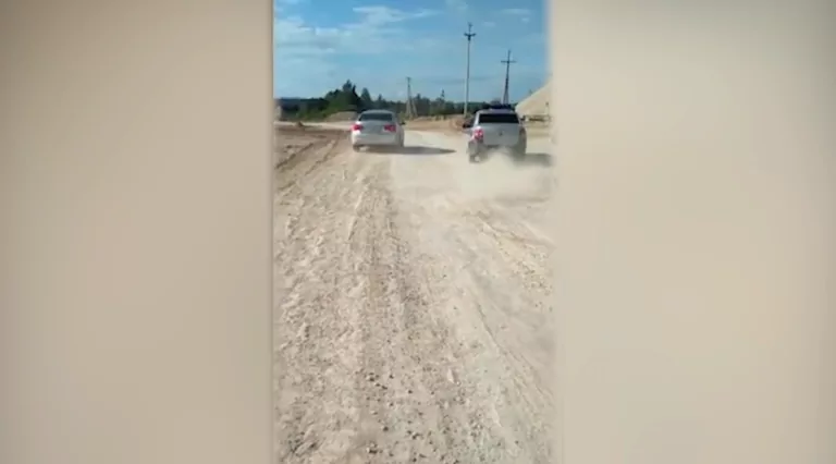 В Дубне пьяная мать прокатила на капоте инспектора ДПС: дело пересмотрели