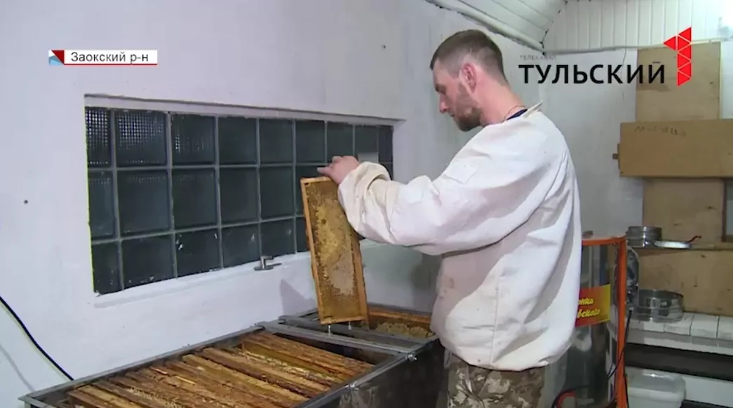 Первый сбор: тульские пчеловоды начали качать мед