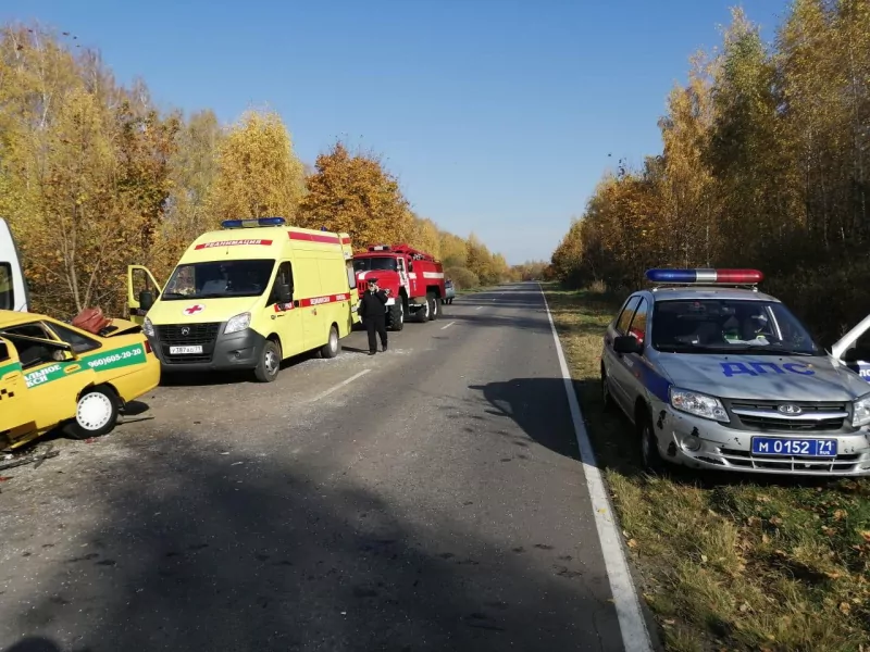 Место смертельного ДТП в Кимовском районе изучил начальник УМВД России по Тульской области