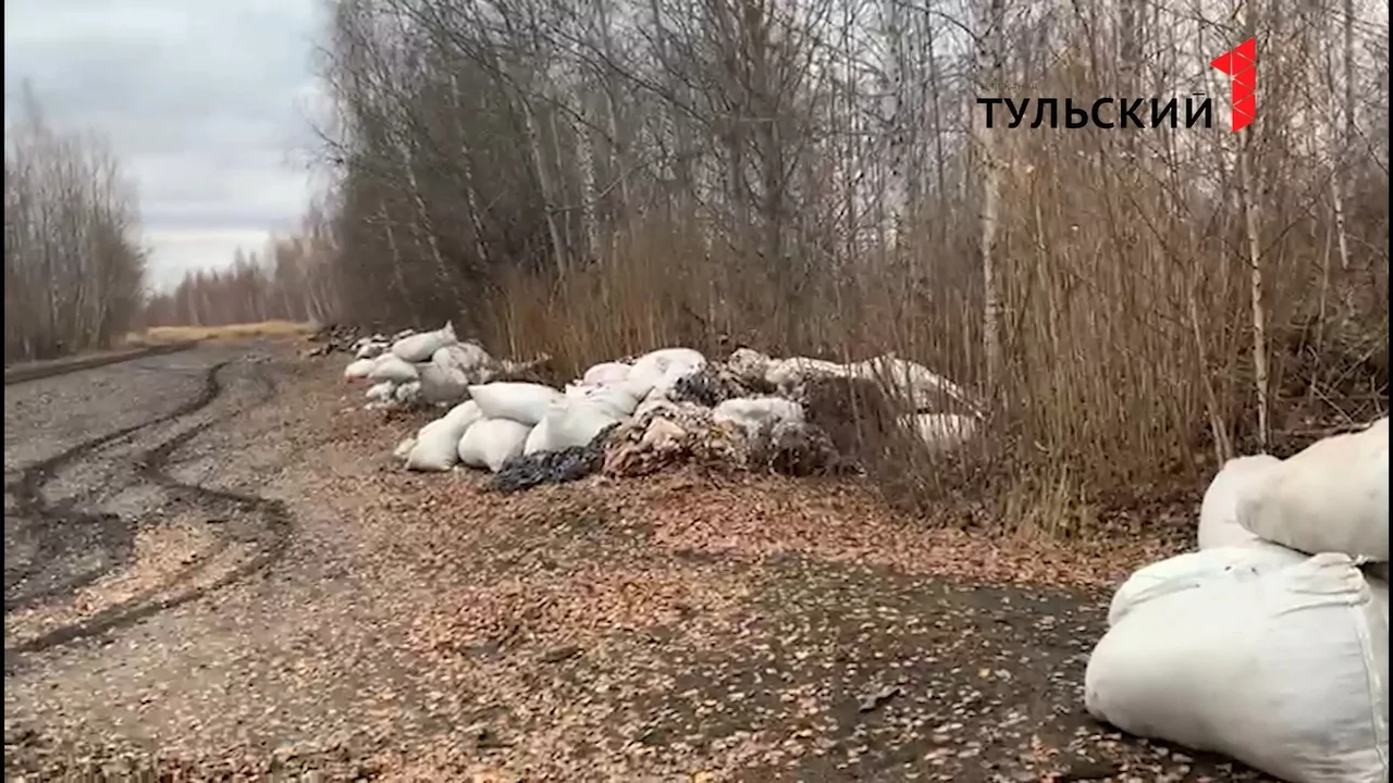 Под Кимовском нашли очередную свалку ртутных ламп и отходов швейного производства