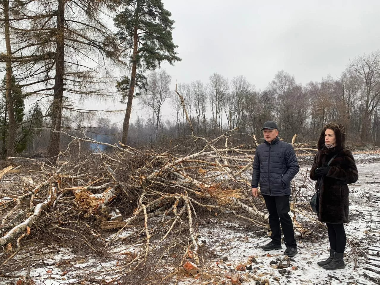 Урванский лес: кто и зачем рубит деревья под Новомосковском