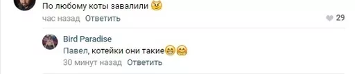 В Новомосковске упала новогодняя елка