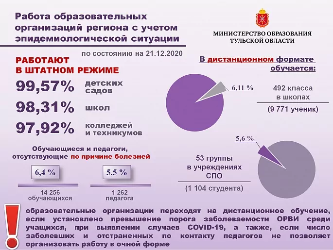 В каком режиме начнутся занятия в тульских школах после новогодних каникул