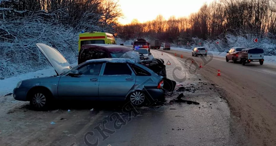 В аварии под Тулой пострадали два подростка