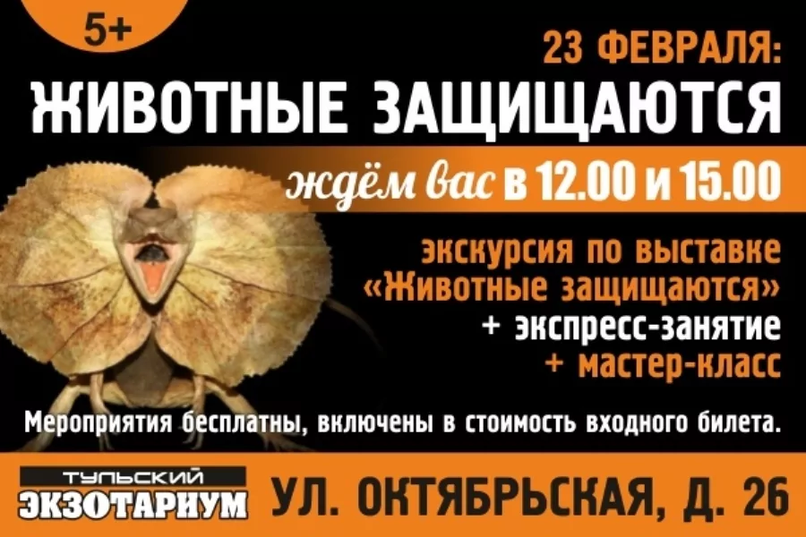 К Дню защитника Отечества сотрудники Экзотариума подготовили для туляков специальную экскурсию