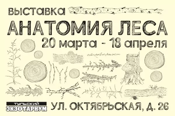 Экзотариум подготовил для туляков новую программу к Дню космонавтики