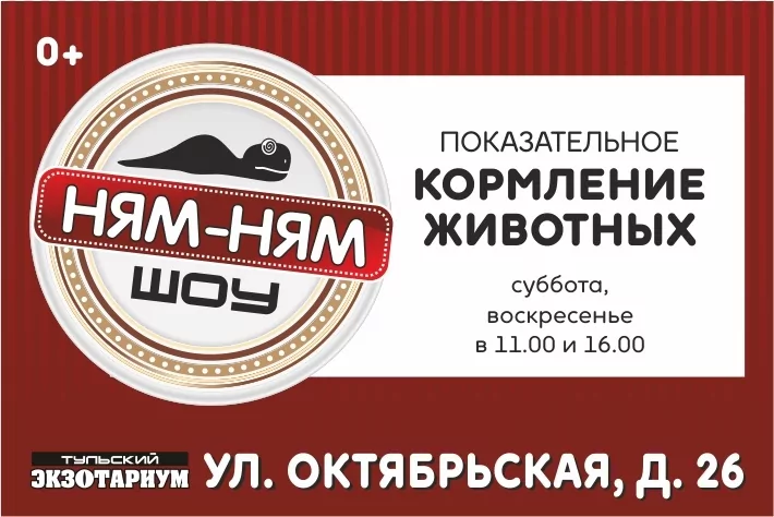 Экзотариум подготовил для туляков новую программу к Дню космонавтики