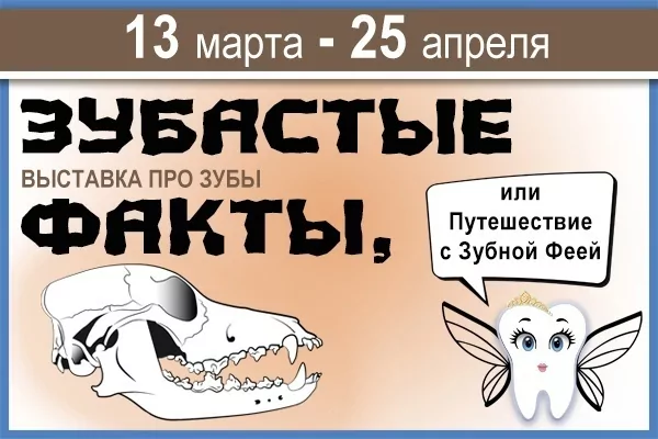 Экзотариум подготовил для туляков новую программу к Дню космонавтики