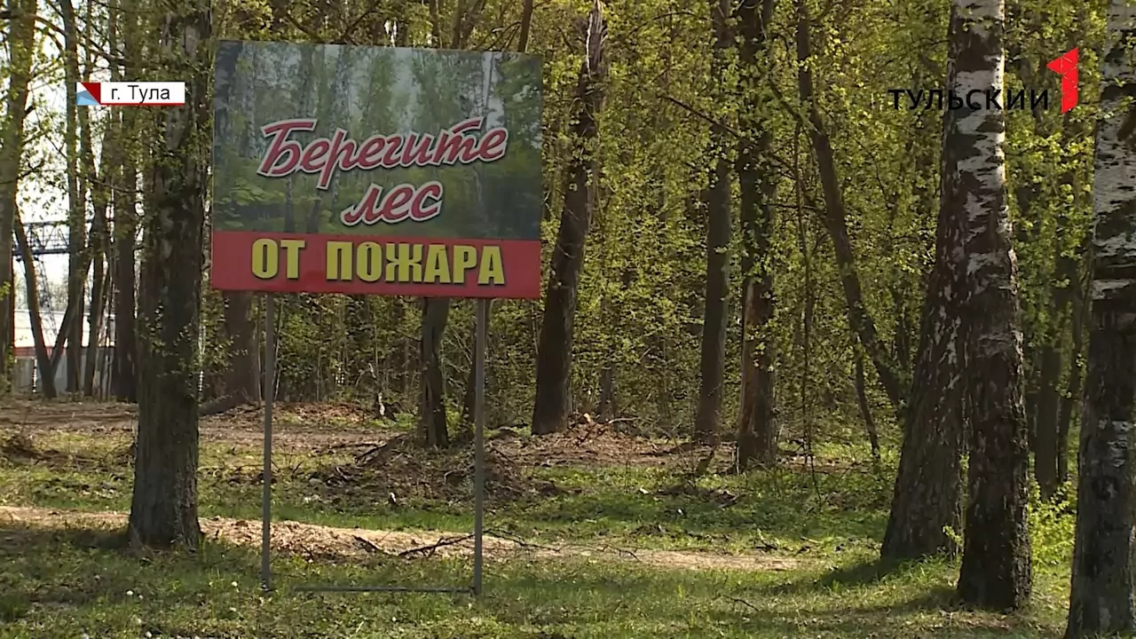 На майских праздниках в Тульской области произошло около сотни пожаров