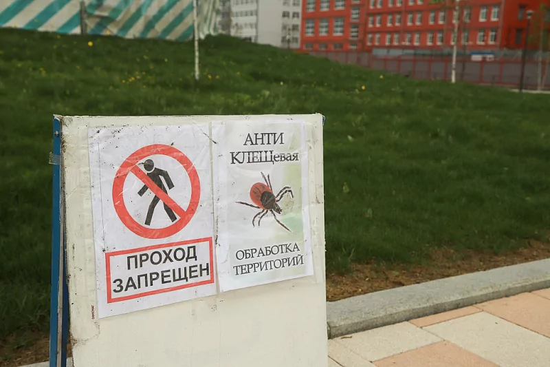Казанскую набережную в Туле обработали против клещей