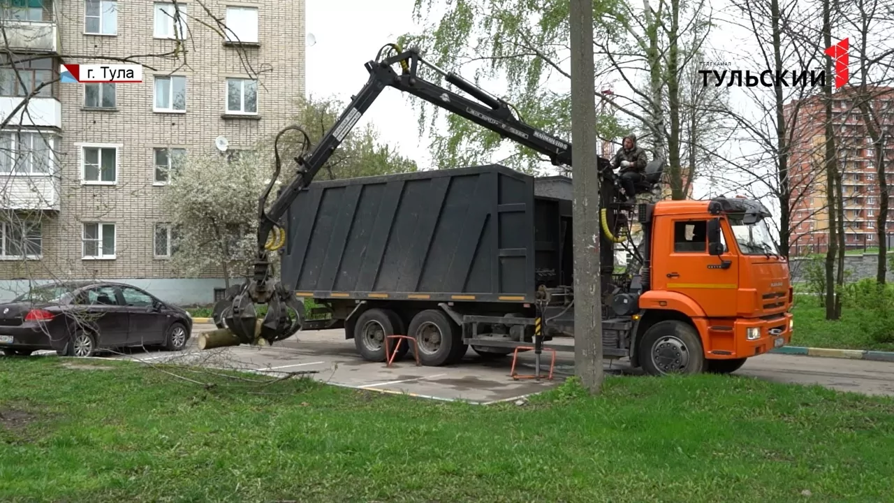 Бурелом на улицах Тулы: кто не справился с последствиями апрельской метели