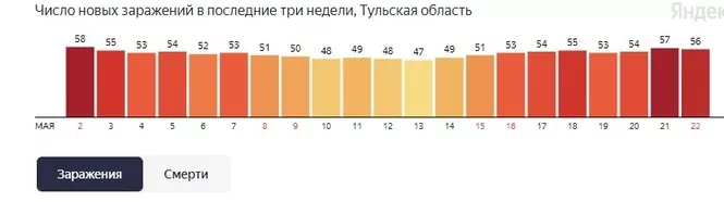 Коронавирус в Тульской области: статистика на 22 мая