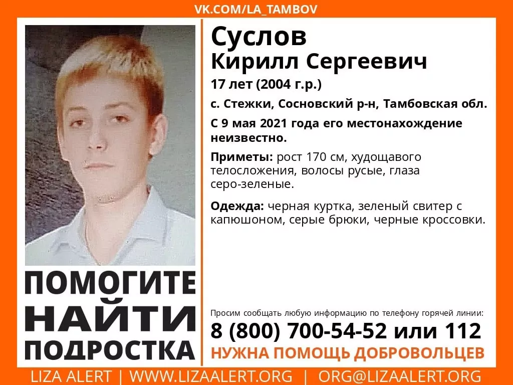 В Тульской области ищут 17-летнего подростка