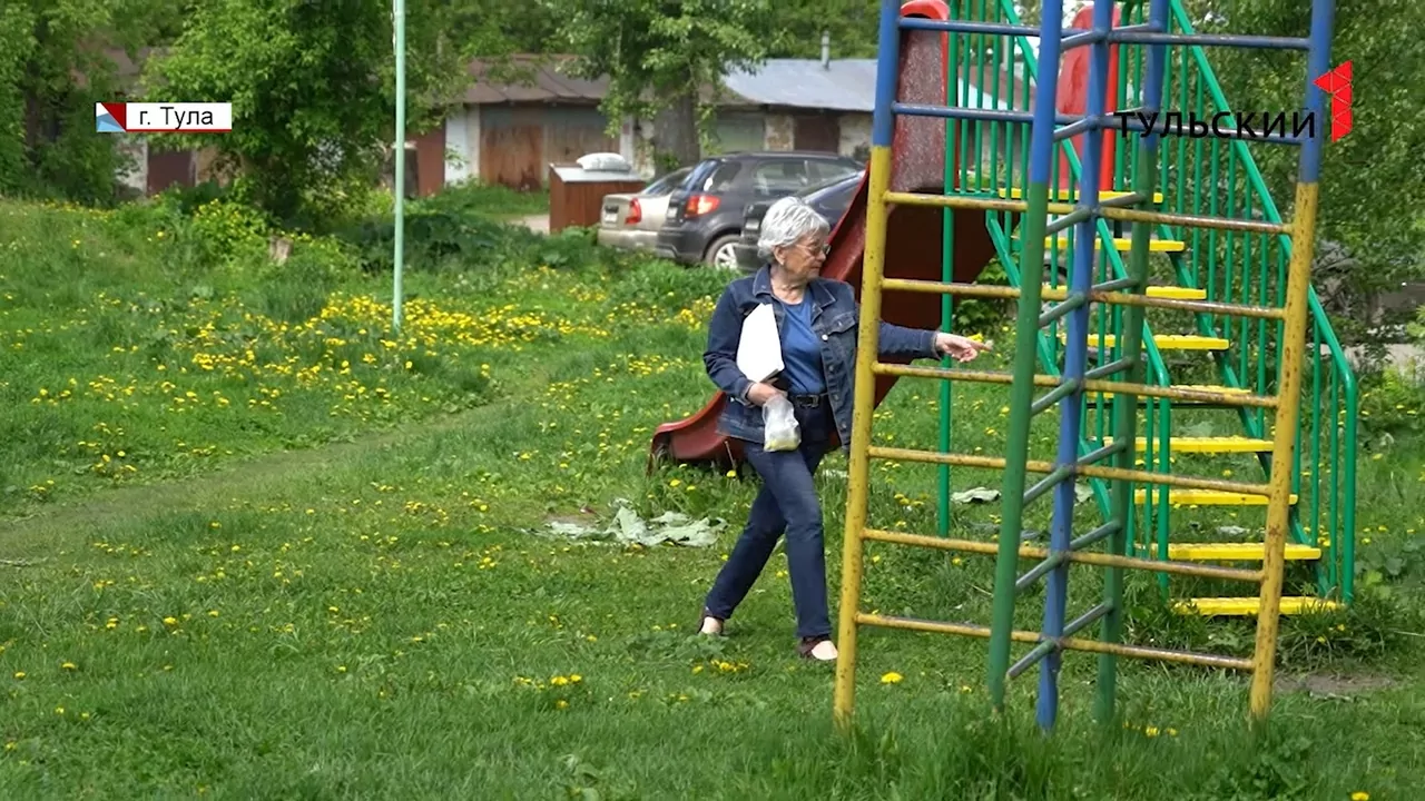 Жители тульского Заречья поневоле попали под обстрел пейнтбольными шарами