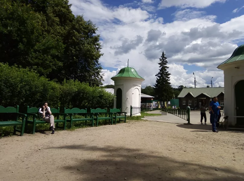 На пруду в музее-усадбе Л.Н. Толстого "Ясная Поляна" расцвели белые кувшинки