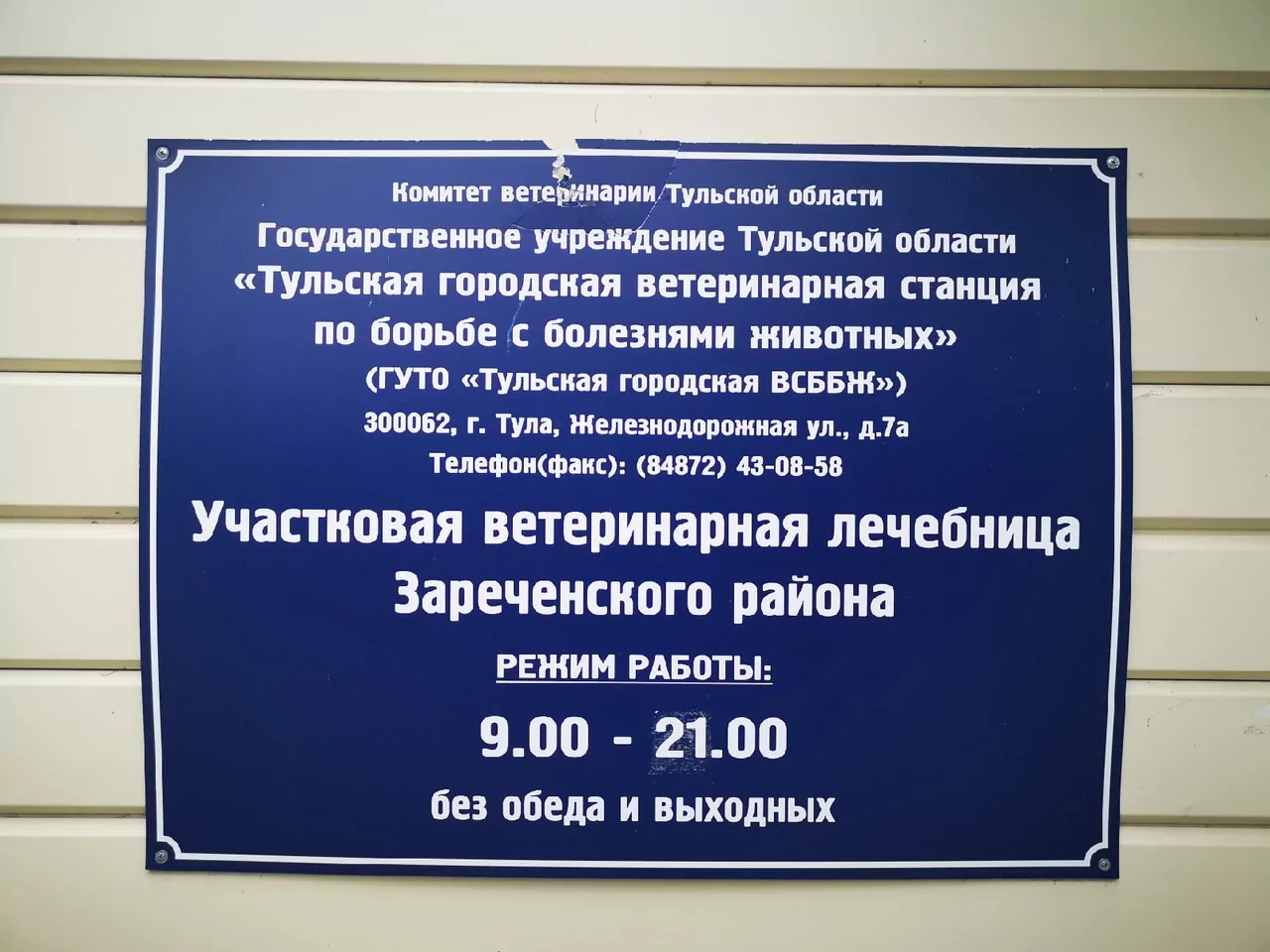 Как тулякам защитить себя и своих питомцев от бешенства