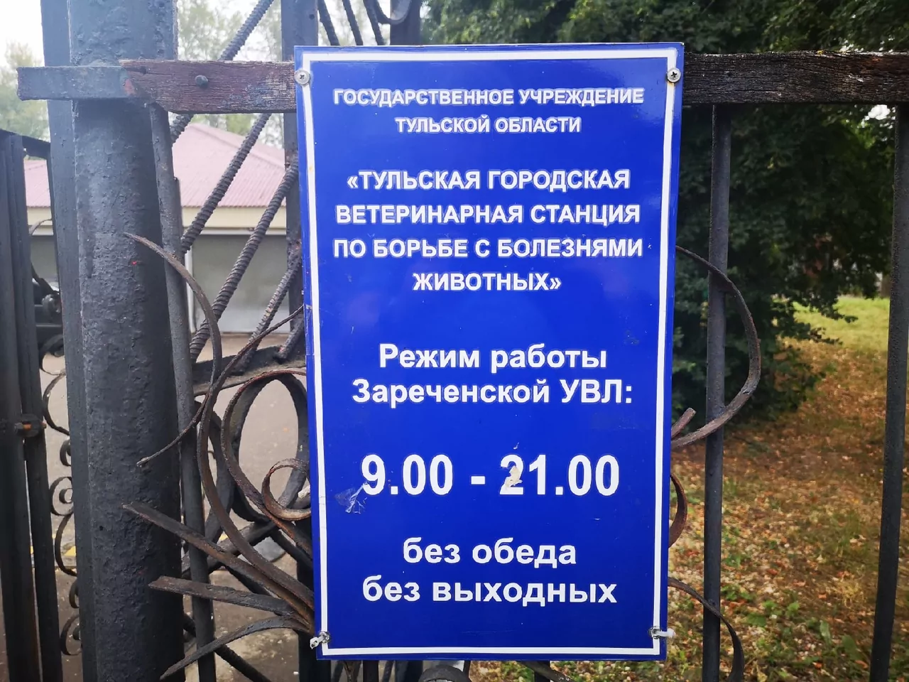 Как тулякам защитить себя и своих питомцев от бешенства