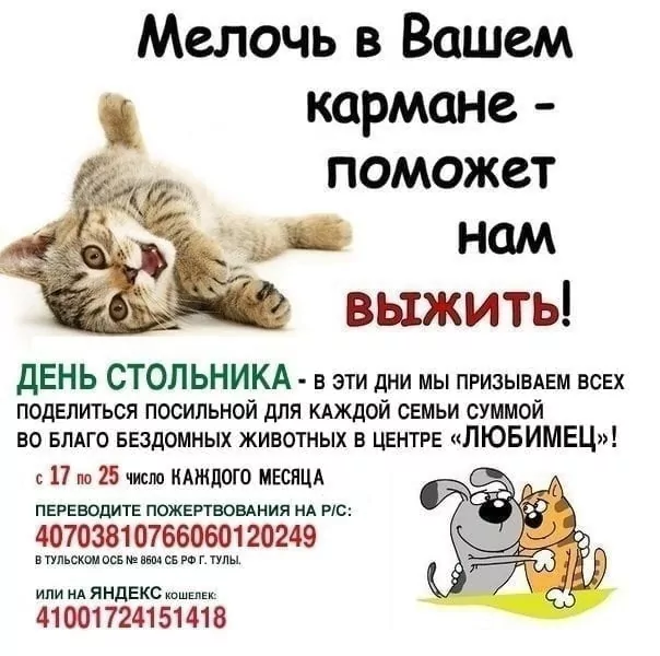 Центр помощи бездомным животным в Туле "Любимец" традиционно проводит Дни стольника