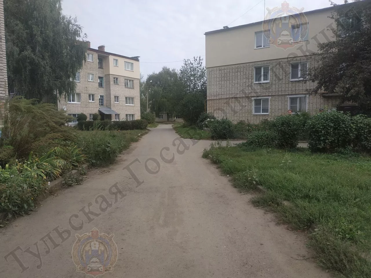 В Щекинском районе 4-летний мальчик на самокате попал под колеса машины