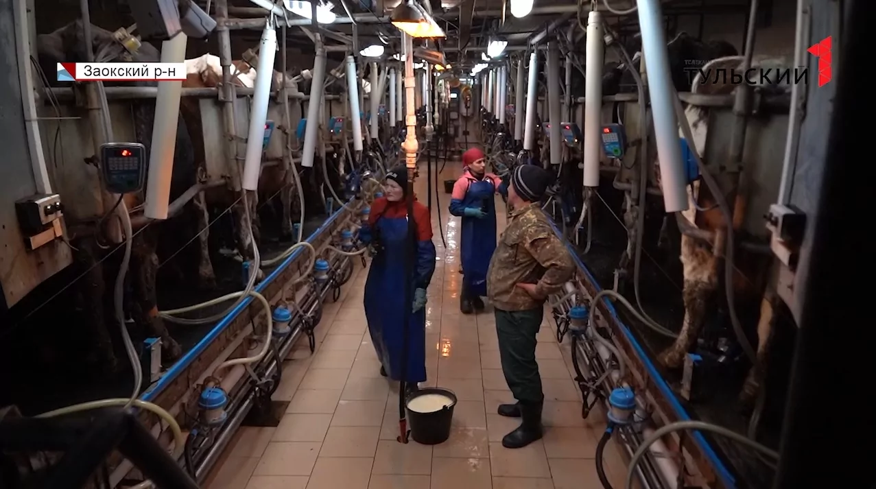В России может подорожать молочная продукция: какая ситуация в Тульской области