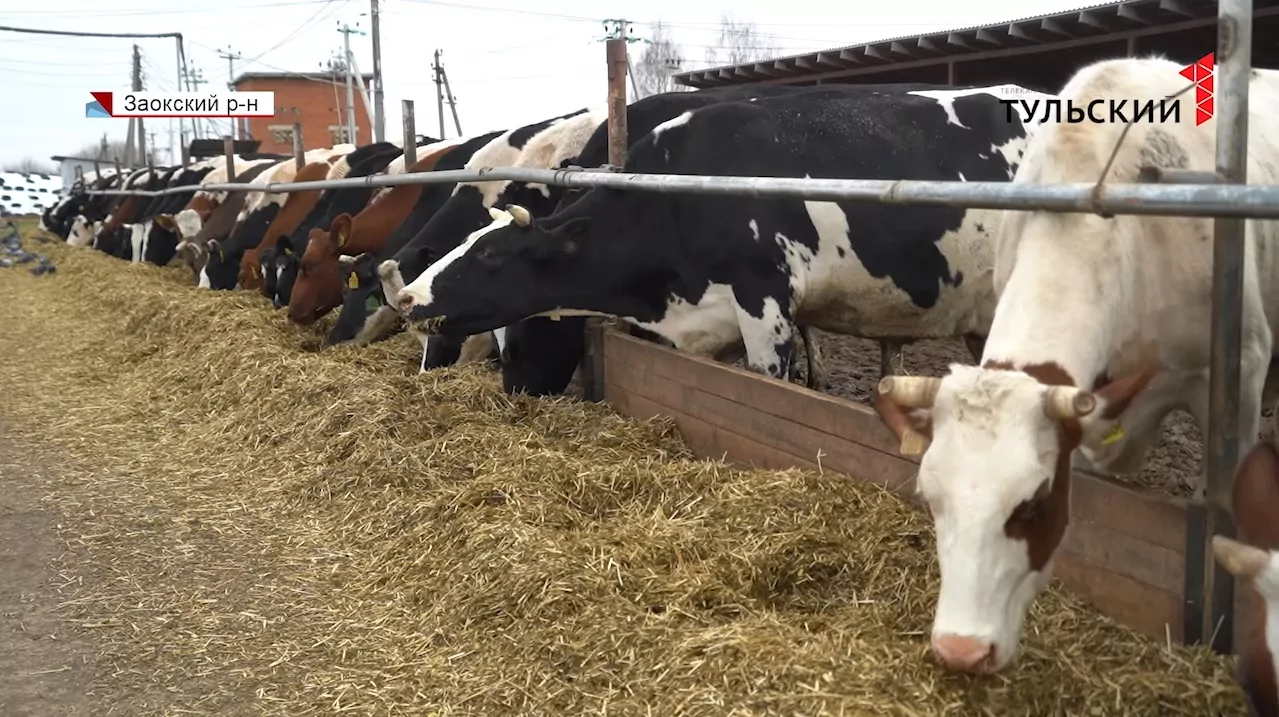 В России может подорожать молочная продукция: какая ситуация в Тульской области